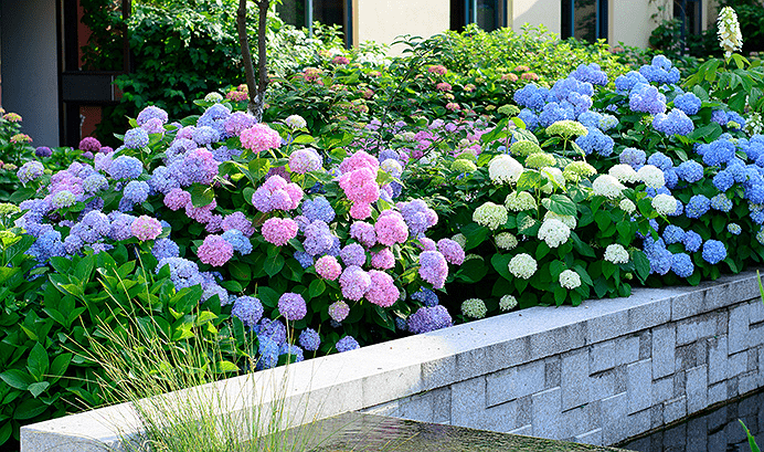 15 ngày tới, 3 con giáp muộn phiền qua đi, tiền tài chính thức bùng nổ - Hình 2 15 ngay toi, 3 con giap muon phien qua di, tien tai chinh thuc bung no-Hinh-2