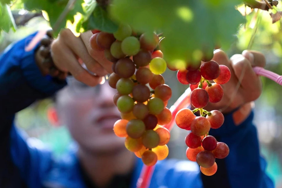 Dung chan 5 dia diem neu ban du lich tau hoa tu TP.HCM-Hinh-7