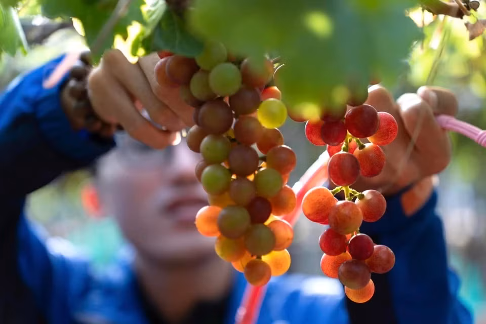 Dung chan 5 dia diem neu ban du lich tau hoa tu TP.HCM-Hinh-7