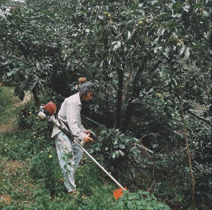 Chang trai Ca Mau len Da Lat tu lam vuon, dung nha dep nhu tranh-Hinh-2
