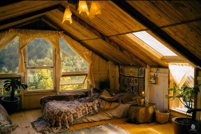 Chang trai Ca Mau len Da Lat tu lam vuon, dung nha dep nhu tranh-Hinh-4