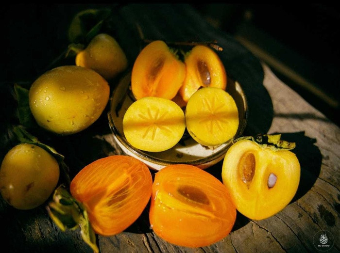 Chang trai Ca Mau len Da Lat tu lam vuon, dung nha dep nhu tranh-Hinh-6