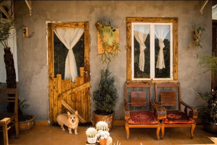 Chang trai Ca Mau len Da Lat tu lam vuon, dung nha dep nhu tranh-Hinh-5