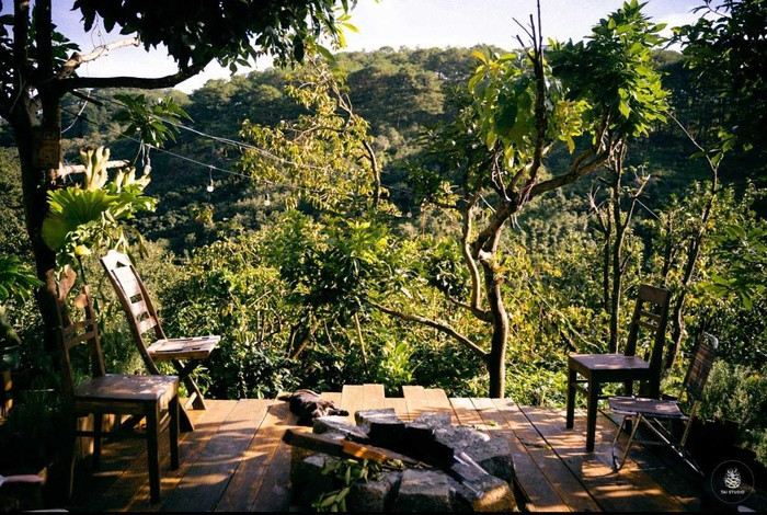 Chang trai Ca Mau len Da Lat tu lam vuon, dung nha dep nhu tranh-Hinh-3