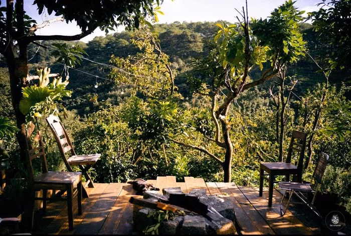 Chang trai Ca Mau len Da Lat tu lam vuon, dung nha dep nhu tranh-Hinh-3