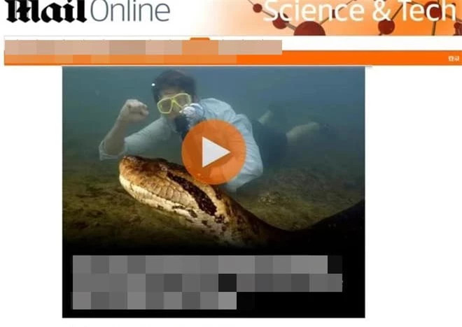 Con ran lon nhat tren Trai dat duoc tim thay to co nao?