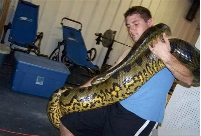 Con ran lon nhat tren Trai dat duoc tim thay to co nao?-Hinh-2