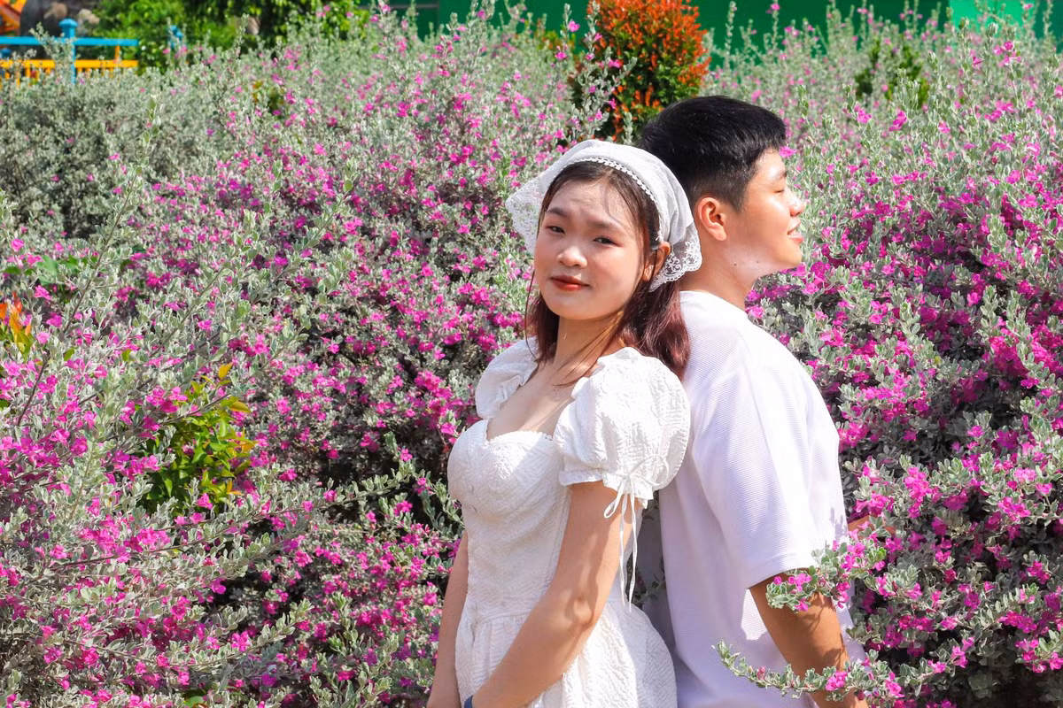 Thich thu check in vuon hoa tuyet son phi hong tai TP Ho Chi Minh-Hinh-2