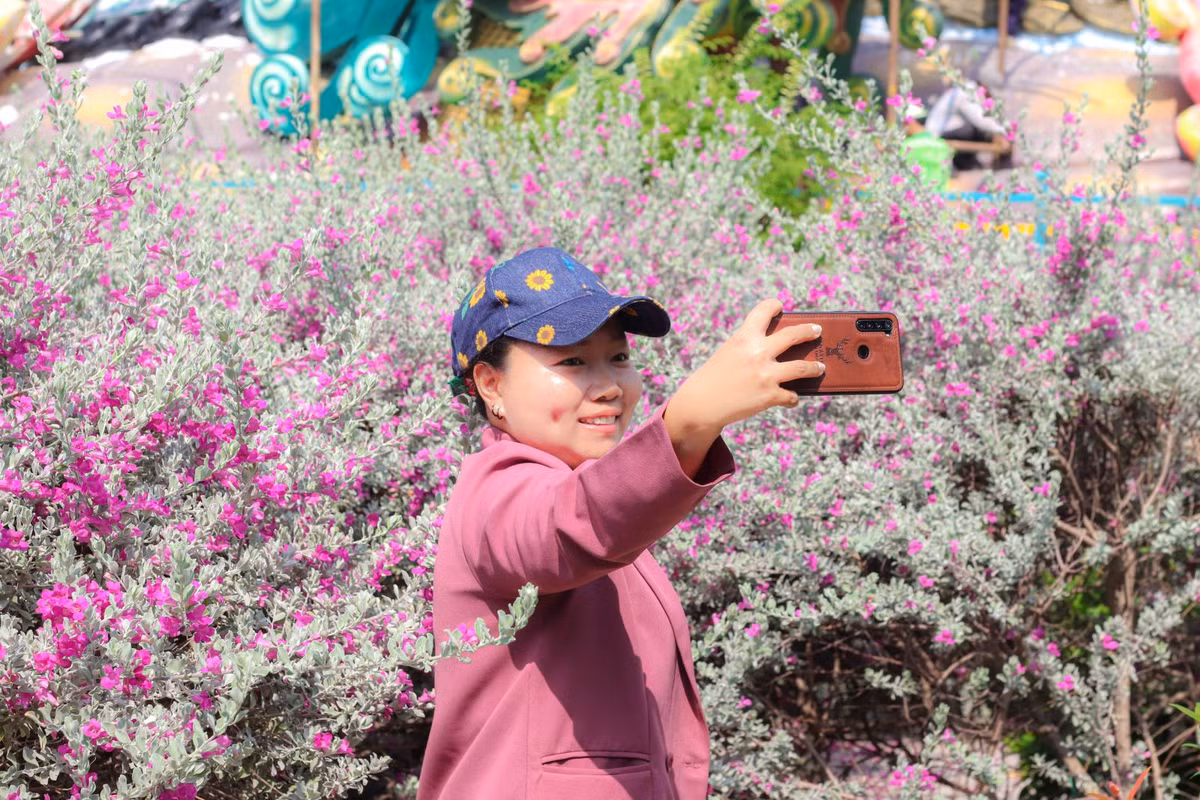 Thich thu check in vuon hoa tuyet son phi hong tai TP Ho Chi Minh-Hinh-4