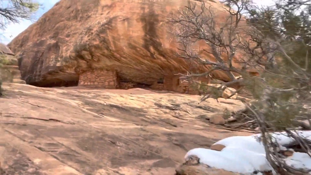 Không chỉ có khung cảnh thiên nhiên hùng vỹ, nơi đây còn sở hữu một hệ sinh thái động thực vật vô cùng phong phú và đa dạng.