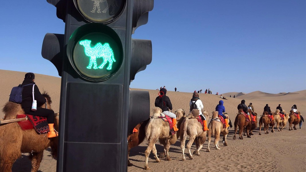 Đèn giao thông tại đây có hình lạc đà, khi đèn chuyển màu xanh, du khách cưỡi lạc đà được phép đi qua đường, còn đèn chuyển sang màu đỏ sẽ đến lượt du khách đi bộ.