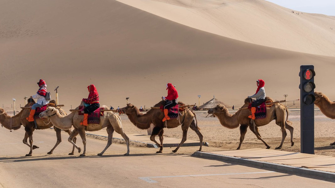 Tuy nhiên do lượng khách quá đông đã tạo nên vẫn xảy ra hiện tượng tắc nghẽn lạc đà giữa sa mạc rộng lớn.
