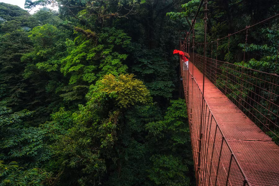 Ba khu bảo tồn rừng mây của Monteverde mang đến cho du khách vô số cơ hội khám phá, tận hưởng những cuộc phiêu lưu và tìm hiểu về các hệ sinh thái tuyệt vời này trong kỳ nghỉ ở Costa Rica. Ảnh: Monteverdeinfo.