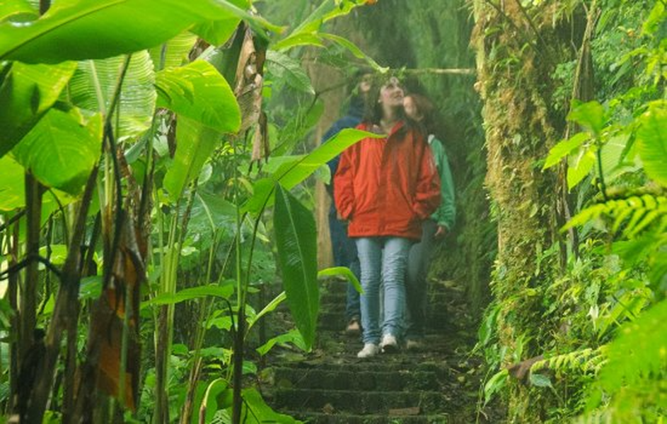 Thảm thực vật tươi tốt, đa dạng tăng thêm vẻ rực rỡ cho khung cảnh. Ảnh: Costaricaexperts.