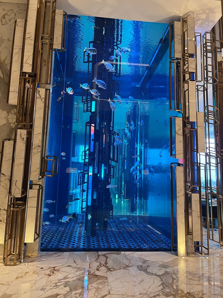 br/> Trong đó, thang máy bằng kính được bao bọc xung quanh là nước với bể cá thẳng đứng từ sàn lên đến trần nhà chứa đến 7.200 loài động vật biển. Ảnh: Tripadvisor.