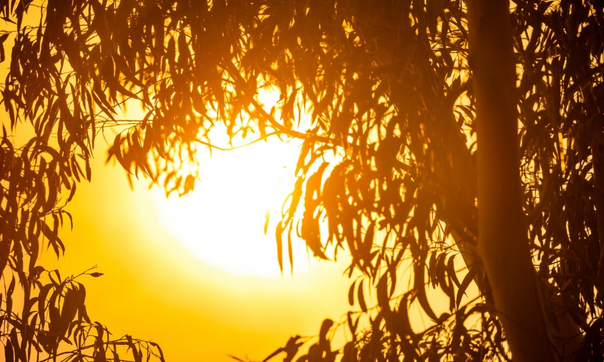 Mùa đông nóng kỷ lục như mùa hè ở Australia Mua dong nong ky luc nhu mua he o Australia