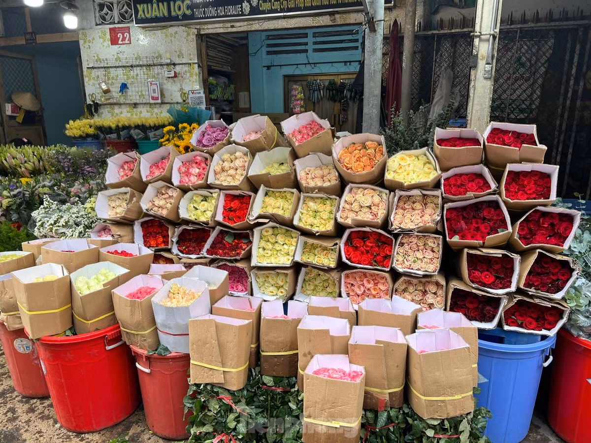 Giá hoa hồng Đà Lạt tăng giá nhẹ, có thời điểm lên 450.000 đồng/bó (50 bông), hiện giá giảm còn 420.000 - 400.000 đồng/bó. Sức mua chậm.