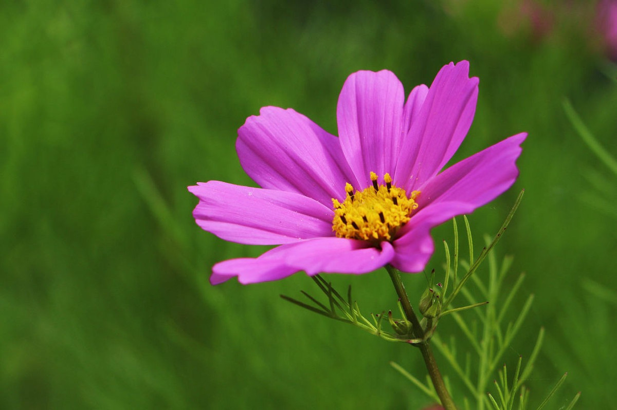 Từ ngày 19/12, 3 con giáp có Thần Tài ban lộc, phú quý đầy tay - Hình 3 Tu ngay 19/12, 3 con giap co Than Tai ban loc, phu quy day tay-Hinh-3