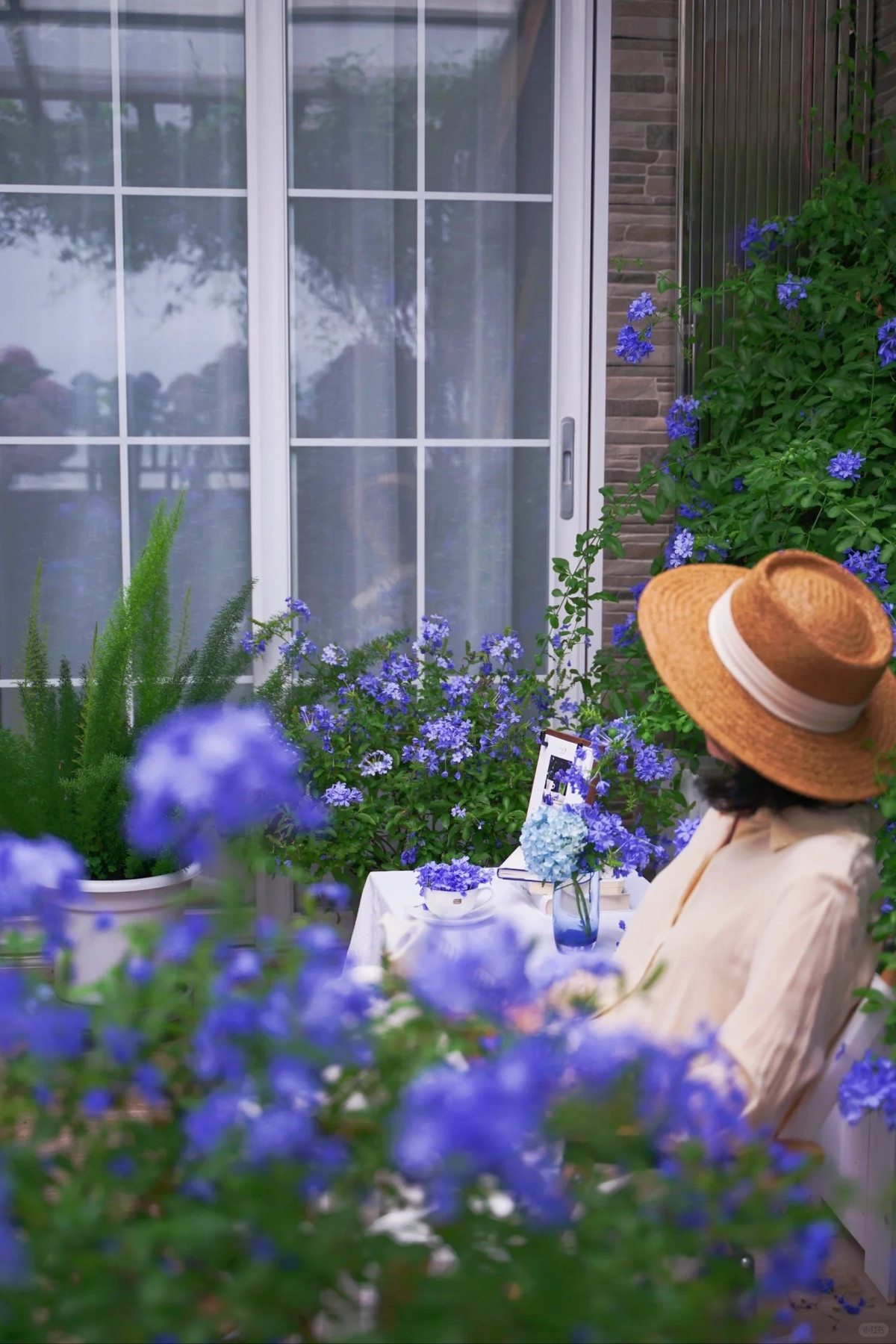 Hoạt động ưa thích của Jian Xi trên sân thượng là uống trà đọc sách