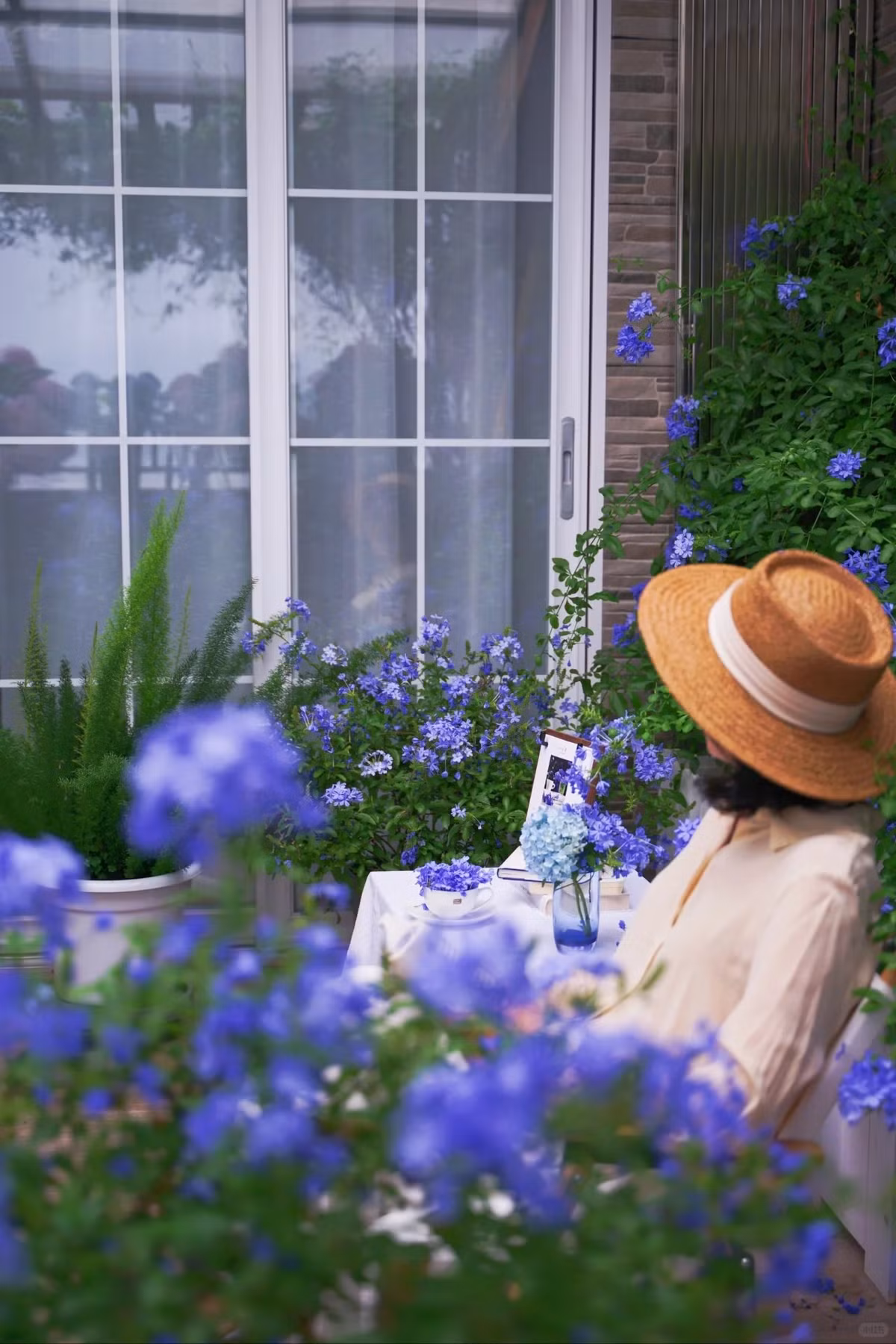 Hoạt động ưa thích của Jian Xi trên sân thượng là uống trà đọc sách