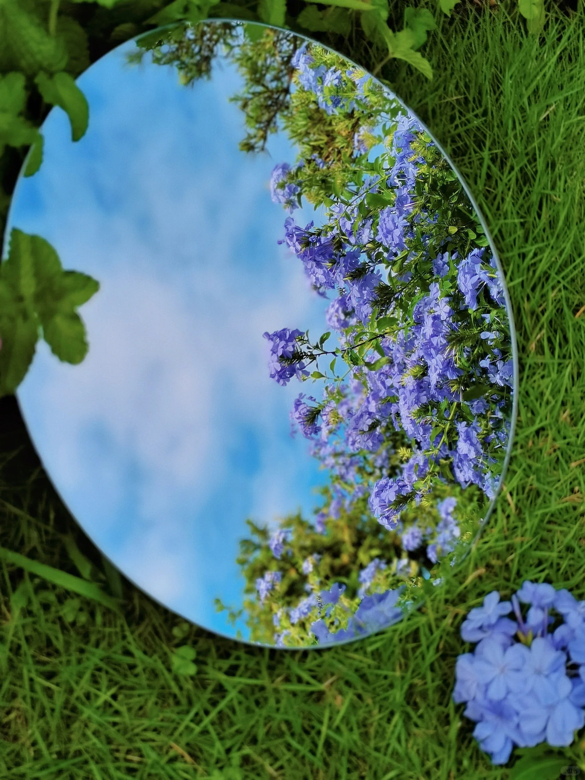 “Tôi thực sự ghen tị khi trên sân thượng có một bãi cỏ như vậy. Đẹp quá! Tôi tưởng đó là một khu vườn”, “Sân thượng này giống như chốn thần tiên vậy, đẹp và đem lại cảm giác hạnh phúc”, “Trời ơi! Sân thượng của bạn thực sự có cỏ! Ban đầu tôi đã không tin”,... là những bình luận dành cho bãi cỏ sân thượng của Jian Xi.