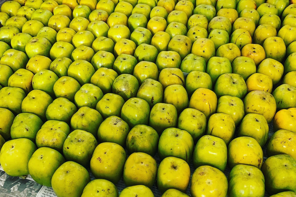 Hồng da tre năm nay được mùa, giá một quả bằng cả bát phở Hong da tre nam nay duoc mua, gia mot qua bang ca bat pho