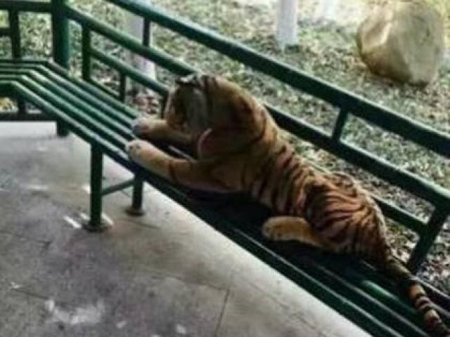 6 canh sat Scotland doi dau ho du 45 phut va phat hien gay soc-Hinh-3