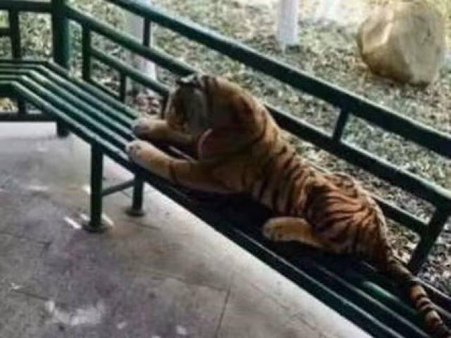 6 canh sat Scotland doi dau ho du 45 phut va phat hien gay soc-Hinh-3