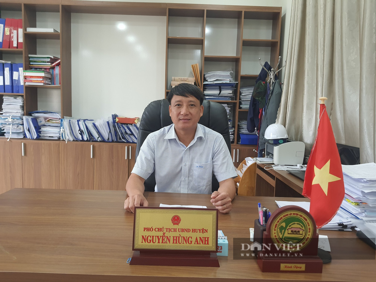 Làm kinh tế vườn, lão nông Quảng Nam thu nửa tỷ/năm - Hình 5 Lam kinh te vuon, lao nong Quang Nam thu nua ty/nam-Hinh-5