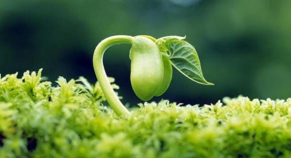 Lam 3 dieu nay, ban se giau co o tuoi trung nien-Hinh-2