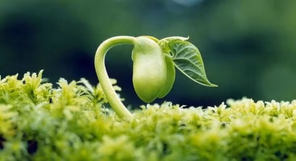 Lam 3 dieu nay, ban se giau co o tuoi trung nien-Hinh-2