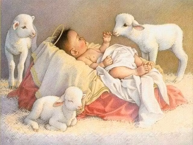 Một năm nọ, khi Giáng sinh đã cận kề, ngoài phố đông tấp nập, không khí nhộn nhịp vui tươi, các buổi diễu hành diễn ra khắp các ngã đường... nhưng hai đứa trẻ yêu Giáng Sinh vẫn luôn buồn. Bởi lẽ, hai em không có tiền mua quà dâng lên Chúa Hài Đồng.