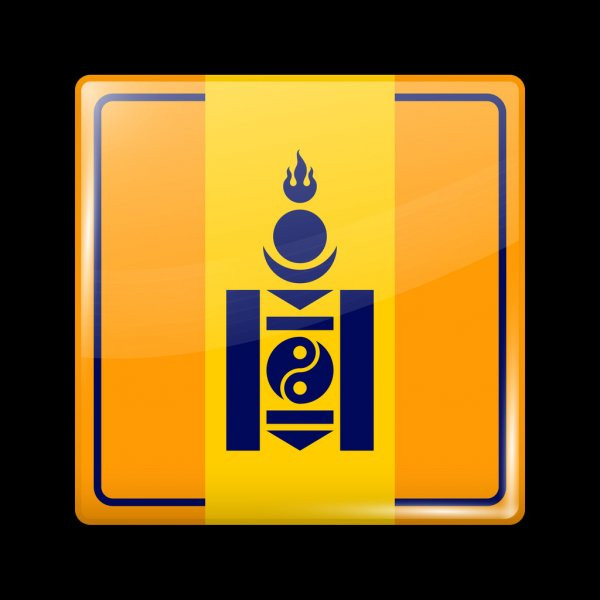 Hình tượng thái cực tượng trưng cho sự giao hòa nam và nữ, cội nguồn sự sinh sôi nảy nở của cộng đồng. Theo một cách giải thích khác thì đây là hai con cá, tượng trưng cho tinh thần cảnh giác, vì cá không bao giờ nhắm mắt.