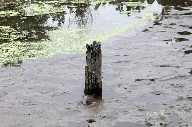 Loạt phát hiện khảo cổ học "khủng nhất" Việt Nam năm 2020 Loat phat hien khao co hoc