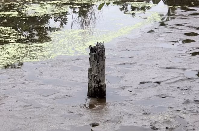 Loạt phát hiện khảo cổ học "khủng nhất" Việt Nam năm 2020 Loat phat hien khao co hoc