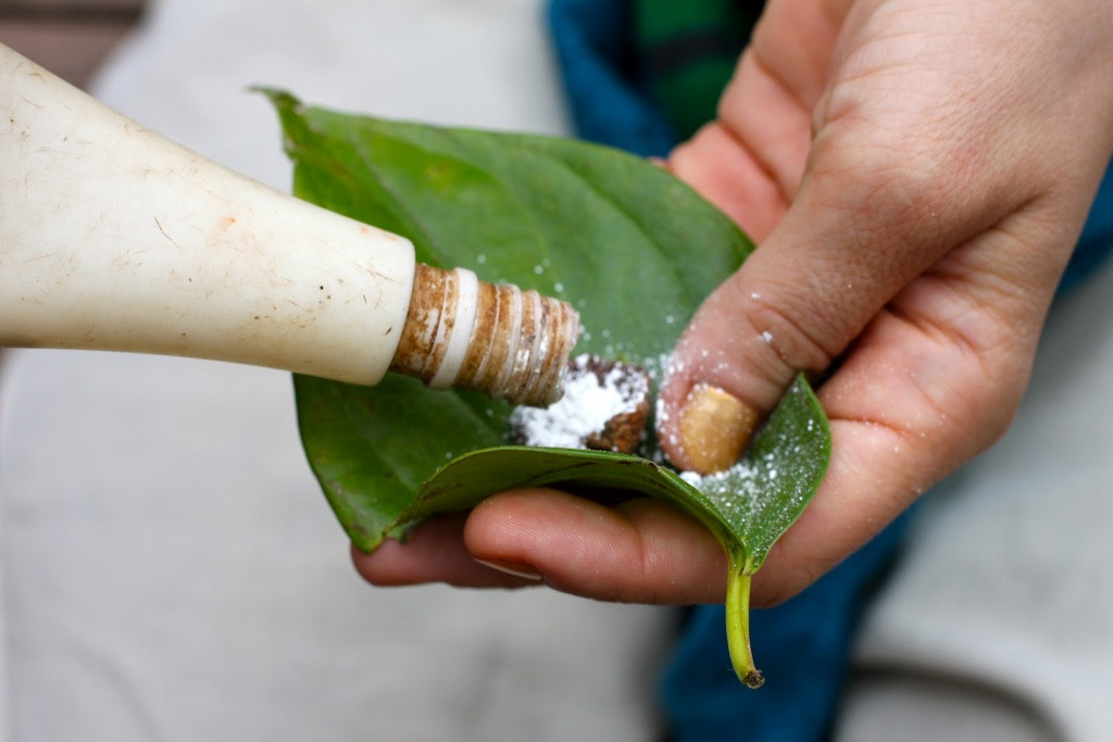 Sau khi nhai một miếng trầu, cơ thể con người sẽ ấm lên bởi nhiệt sinh ra từ vôi, vị cay và hương thơm từ tinh dầu của lá trầu, đồng thời còn có cảm giác hơi chếnh choáng men say do tác động từ chất arécoline trong hạt cau.