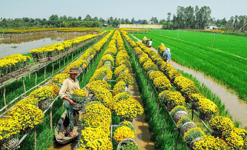 Kham pha ten goi ve dia danh Sa Dec