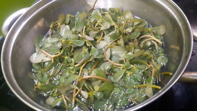 Mon ngon tu rau dai: Loai rau vi nhu co truong tho-Hinh-4