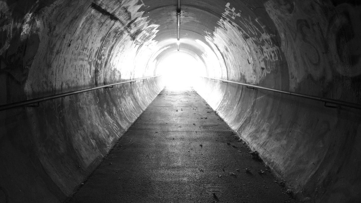 Trải nghiệm cận tử và tín hiệu não sau khi tử vong ảnh 3