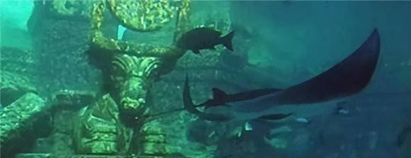 Duoi day bien phat hien 72 ngoi lang: Con co dau vet cua su song?-Hinh-6