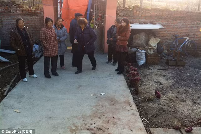 Hàng xóm cho biết, họ nghe thấy nhiều tiếng la hét và tiếng kêu cứu từ ngôi nhà của nạn nhân. Khi tới nơi, họ nhìn thấy cô nằm chết giữa vũng máu.