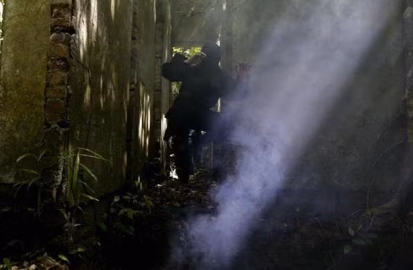 Các tổ chức vũ trang đặc biệt của quân đội và cảnh sát của nhiều quốc gia trong quá khứ và hiện tại vẫn duy trì huấn luyện các kỹ thuật tương đồng với các ninja như Đặc nhiệm Hải quân Mỹ (SEAL), Đội chiến thuật và vũ khí đặc biệt (SWAT – Mỹ)…