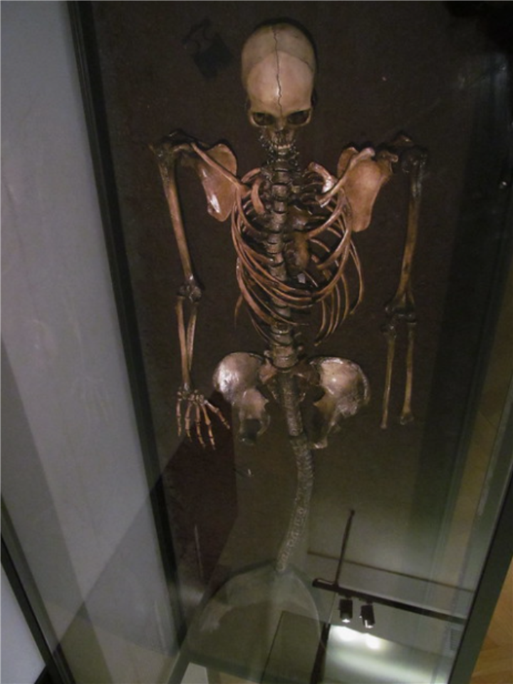 Phat hien bo xuong nu nua nguoi nua ca, phai chang ‘nang tien ca’-Hinh-4