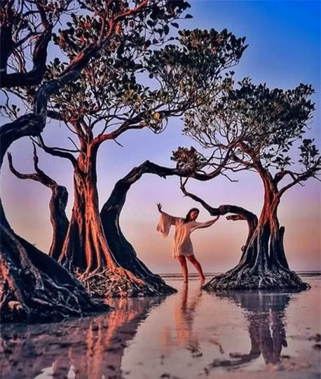 Loài “cây nhảy múa” độc đáo trải dọc bãi biển đảo Sumba ảnh 4