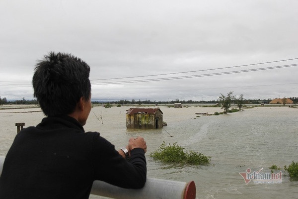 Tại xã Gio Việt (huyện Gio Linh) nước lũ tràn vào khiến nhiều hộ nuôi tôm bị mất trắng. Ông Nguyễn Duy Bình (49 tuổi, trú tại thôn Hoàng Hà) cho biết, nước lên quá nhanh khiến ông không kịp trở tay. (Nhiều diện tích thủy sản bị nước lũ tràn vào gây thiệt hại nặng)