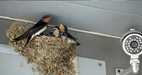 7 dấu hiệu chứng tỏ ngôi nhà của bạn có phong thủy cực tốt - Hình 2 7 dau hieu chung to ngoi nha cua ban co phong thuy cuc tot-Hinh-2