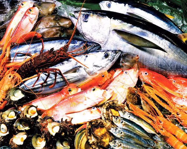 Cá và các loại hải sản: Khoảng một nửa số trường hợp sốc phản vệ có liên quan đến thực phẩm. Động vật có vỏ như tôm hùm và cua là tác nhân gây dị ứng ở một số người. Động vật có vỏ và cá thường gây ra các phản ứng dị ứng khá nghiêm trọng, thậm chí chỉ cần ngửi hơi khi nấu ăn cũng có thể gây ra các phản ứng dị ứng.