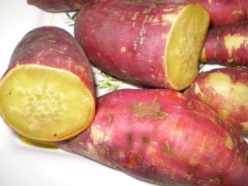 Khoai lang: Khoai lang được đánh giá là một trong những thực phẩm tốt nhất trong thời tiết giao giao mùa. Nó có tác dụng ngăn ngừa ung thư, chống táo bón, giảm béo, thường xuyên ăn khoai lang có thể kéo dài tuổi thọ. Khi thời tiết thay đổi, từ nóng chuyển sang lạnh, nhiều người dễ bị sốt vì cảm, không ra được mồ hôi. Ăn khoai lang có thể giúp người bệnh ra mồ hôi, giảm sốt.