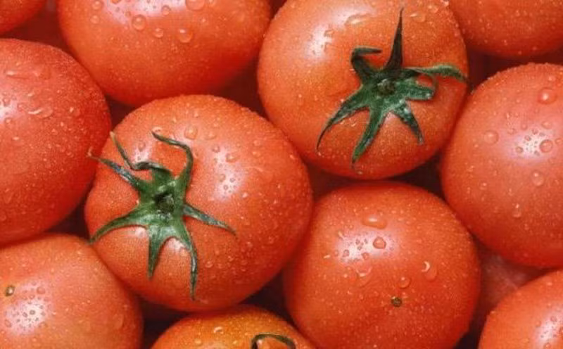 Chon ca chua tuoi ngon, mong nuoc chi can nham duy nhat diem nay