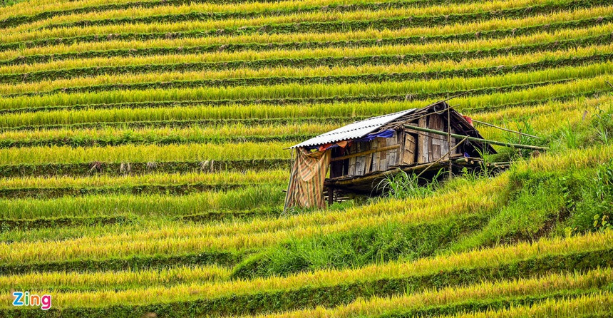 Tổng diện tích ruộng bậc thang Mù Cang Chải được xếp hạng Di tích quốc gia năm 2007 là 500 ha, gồm 3 xã La Pá Tẩn, Chế Cu Nha, Dế Xu Phình. Đây là một trong những danh thắng độc đáo bậc nhất tại Việt Nam.